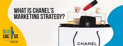 cours stratégie marketing chanel|chanel digital marketing strategy.